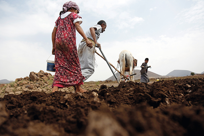坚守中的希望：战乱中也门人的日常