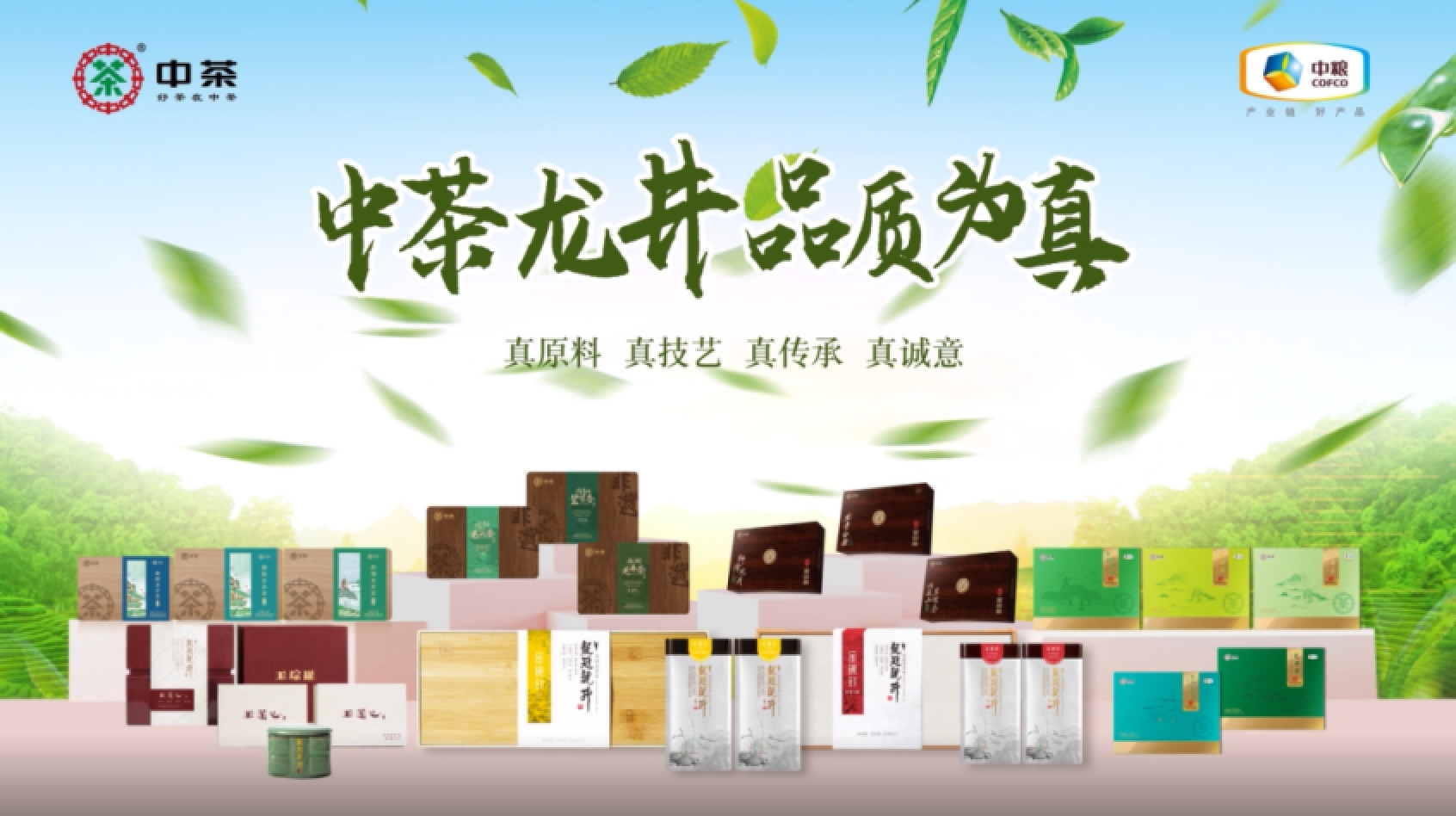 开新局，迎新篇！中茶再出发-新华网