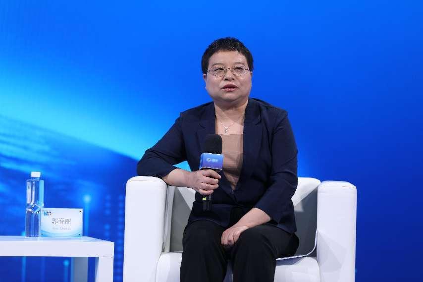 郭春丽实现双碳目标要提高运用战略思维和系统观念能力