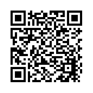 汉字之美架起沟通金桥 “西汉字·东字母”专题展伦敦开幕-新华网